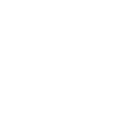 Dude Whipes logo